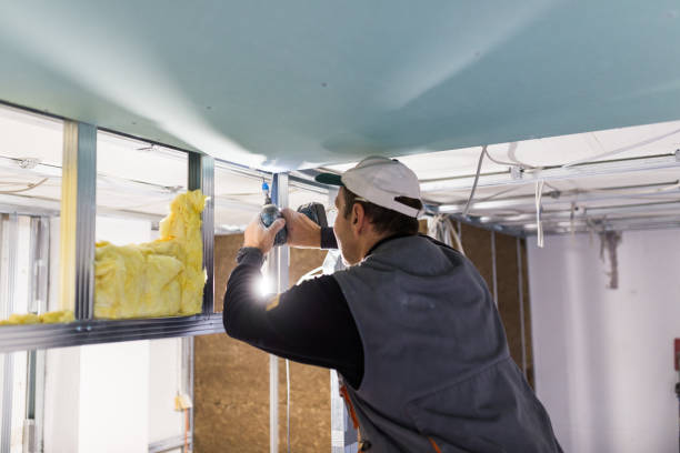 Best Specialized Insulation Services in Easton, MD
