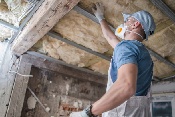 Best Blown-in Insulation in Easton, MD