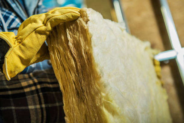 Best Geographic-Specific Insulation Services in Easton, MD