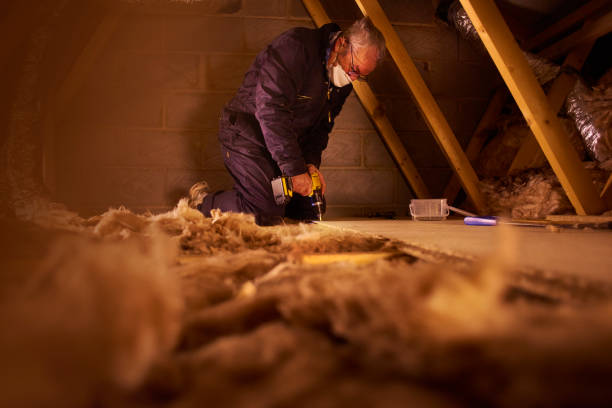 Best DIY Insulation Kits and Guidance in Easton, MD